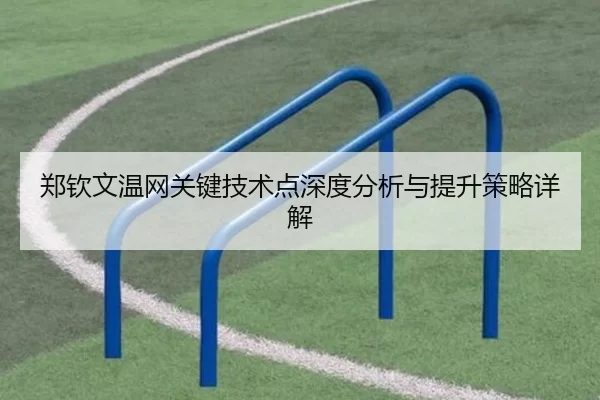 郑钦文温网关键技术点深度分析与提升策略详解